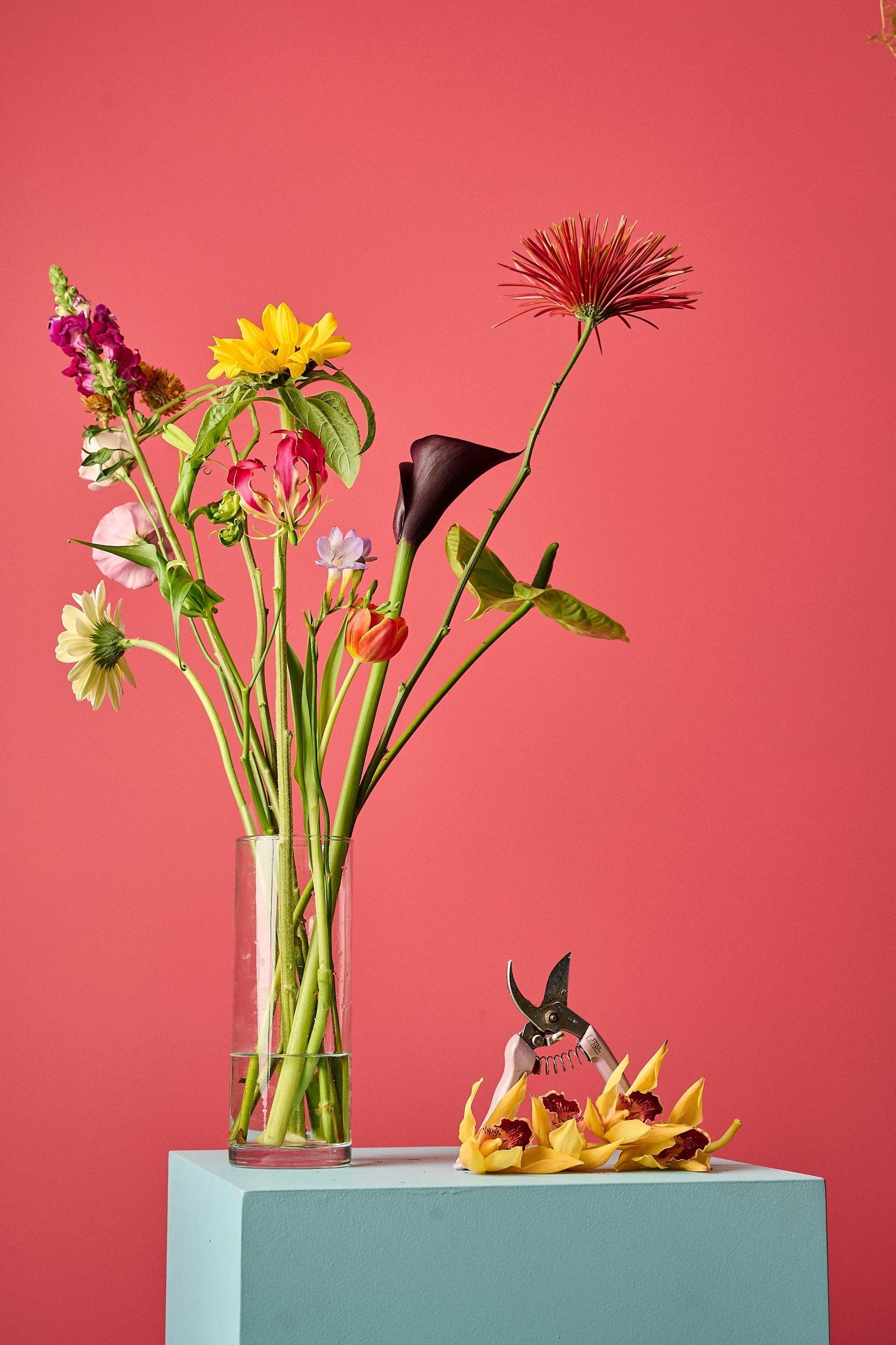 Dicas Infalíveis de Como Cuidar do Seu Arranjo de Flores