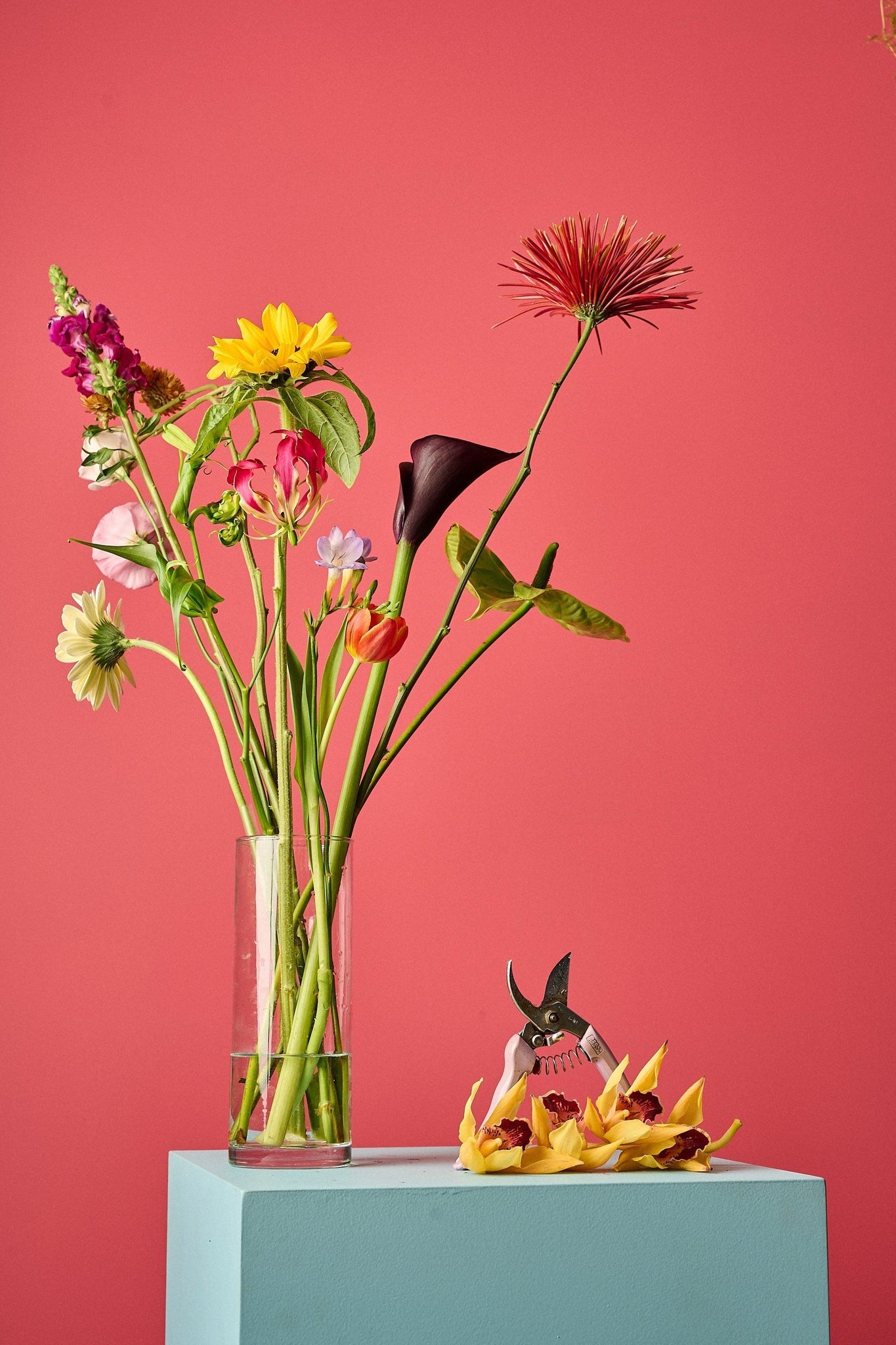 Dicas Infalíveis de Como Cuidar do Seu Arranjo de Flores